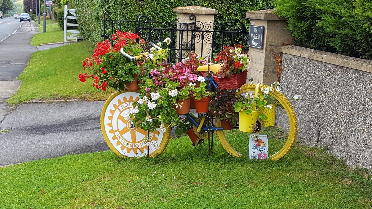 Flower bike